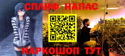 тгк Пугачёв