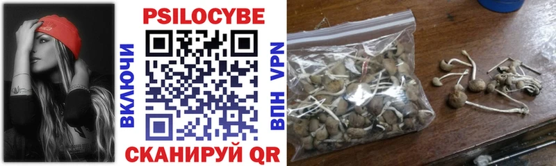 Псилоцибиновые грибы мицелий  мега как войти  Биробиджан 